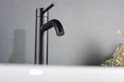 Robinet mitigeur de lavabo monotrou — inox, 6 finitions